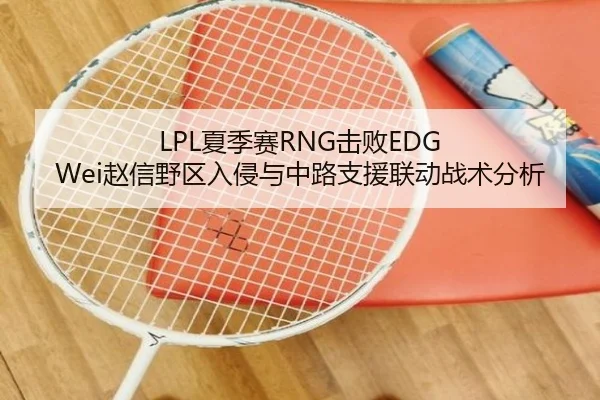 LPL夏季赛RNG击败EDG Wei赵信野区入侵与中路支援联动战术分析