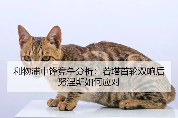 利物浦中锋竞争分析：若塔首轮双响后努涅斯如何应对