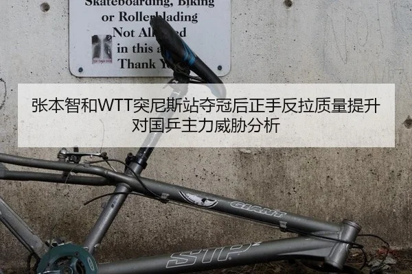 张本智和WTT突尼斯站夺冠后正手反拉质量提升对国乒主力威胁分析